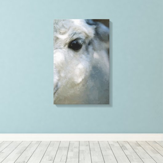 Lama Leinwanddruck (Insitu (Holzboden))