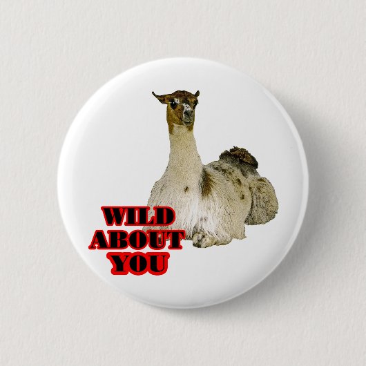 Lama-Liebhaber Button (Vorderseite)