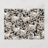 Lama, Llama Postkarte (Vorderseite)