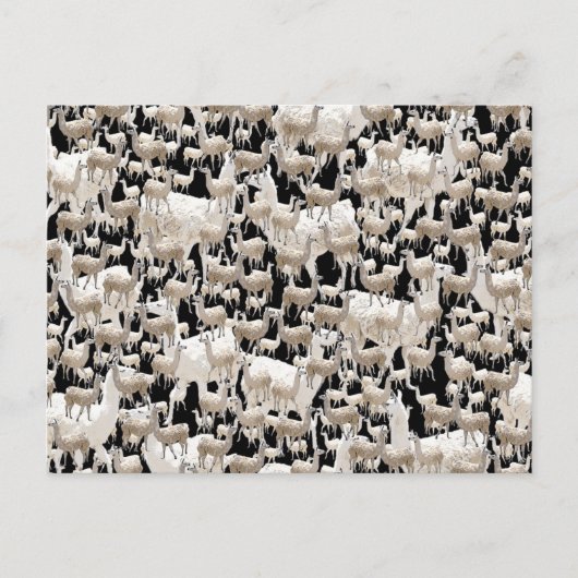 Lama, Llama Postkarte (Vorderseite)