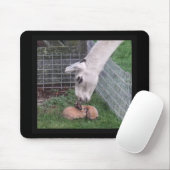 Lama Llove und Häschen Mousepad (Mit Mouse)