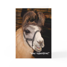 Lama Llove Valentinstag-Karte