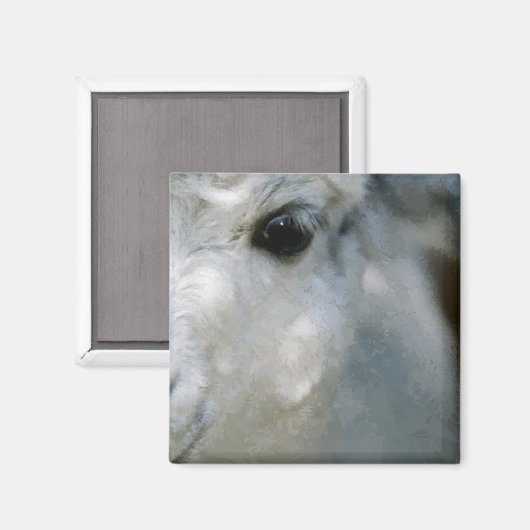 Lama Magnet (Vorderseite/Rückseite)