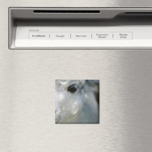 Lama Magnet (In Situ (Geschirrspüler))