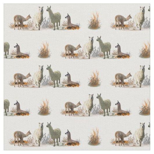 Lama Meadow Fabric (Farbe auswählen) Stoff (Nahaufnahme)