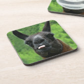 Lama mit Haltung - Zunge-Foto heraus haften Getränkeuntersetzer (Linke Seite)