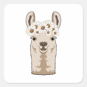 Lama mit weißen Blüten Quadratischer Aufkleber