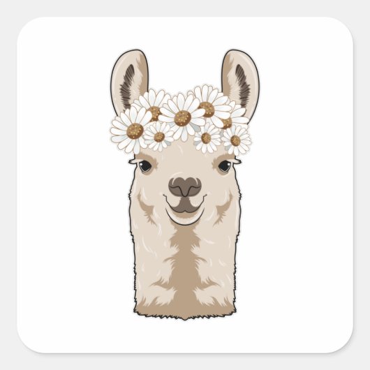 Lama mit weißen Blüten Quadratischer Aufkleber (Vorderseite)