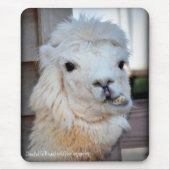 Lama Mousepad (Vorne)