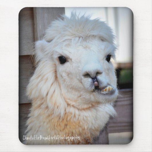 Lama Mousepad (Vorne)