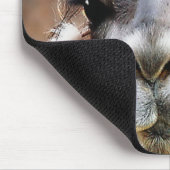 Lama Mousepad (Ecke)