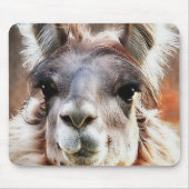 Lama Mousepad (Vorne)