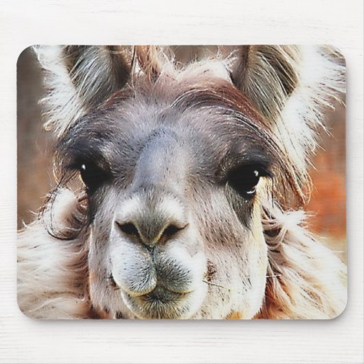 Lama Mousepad (Vorne)