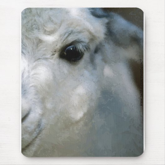 Lama Mousepad (Vorne)