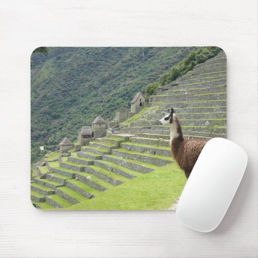 Lama Mousepad (Mit Mouse)