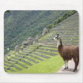 Lama Mousepad (Vorne)