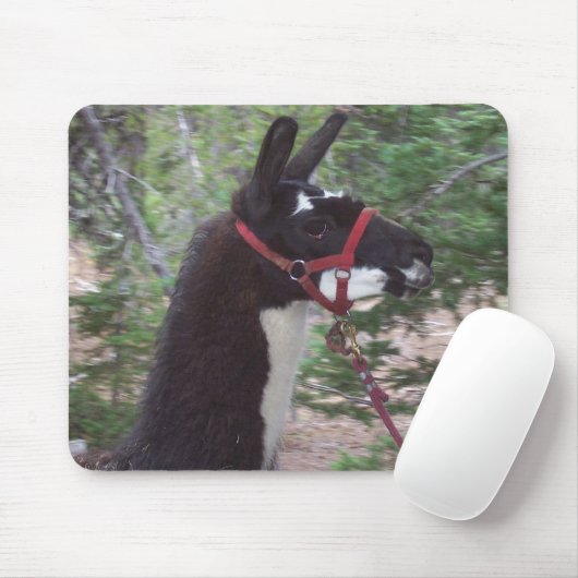 Lama-Mutter Mousepad (Mit Mouse)