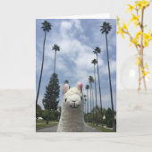 Lama ohne Drama-Gruß-Karte Karte (Gelbe Blume)