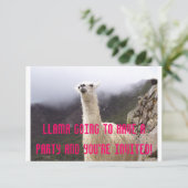 Lama-Party laden ein Einladung (Stehend Vorderseite)