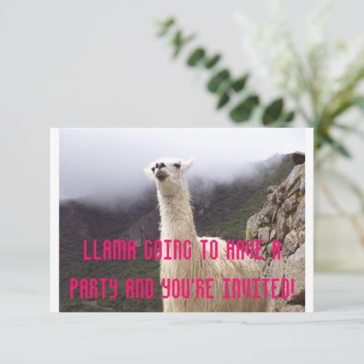Lama-Party laden ein Einladung (Stehend Vorderseite)
