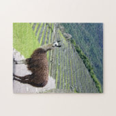 Lama peru puzzle (Horizontal)