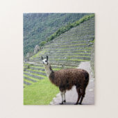 Lama peru puzzle (Vertikal)