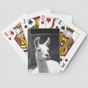 Lama Playing Cards lächeln Spielkarten
