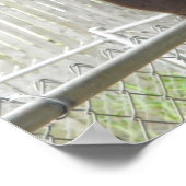 Lama posiert für Kamera Poster (Ecke)