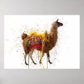 Lama Poster (Vorne)