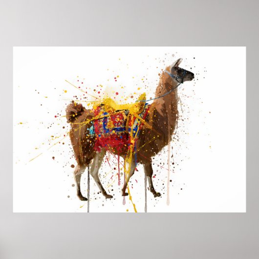 Lama Poster (Vorne)