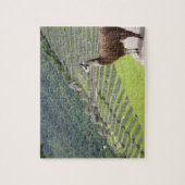 Lama Puzzle (Vertikal)
