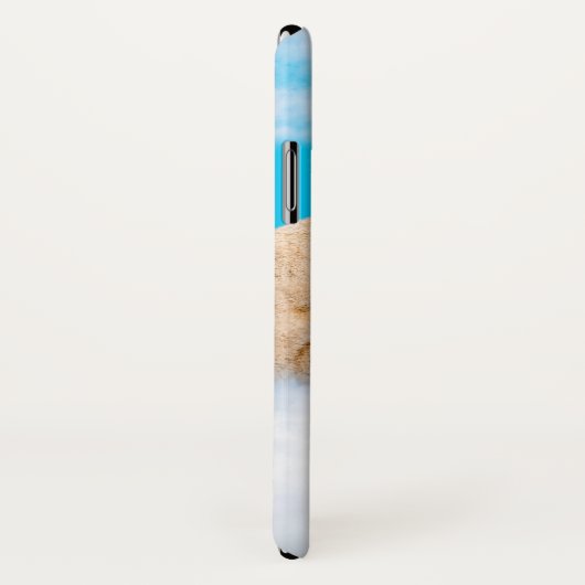 Lama-Regenbogen Case-Mate iPhone Hülle (Hinten/Rechts)