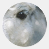 Lama Runder Aufkleber (Vorderseite)