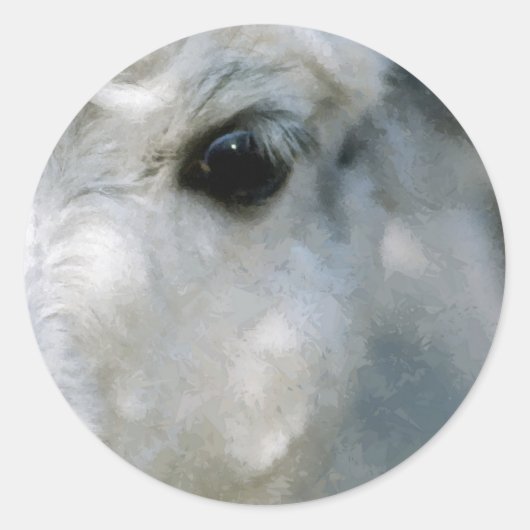 Lama Runder Aufkleber (Vorderseite)