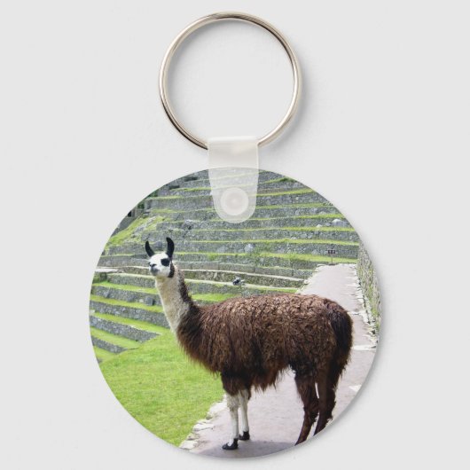 Lama sieht aus schlüsselanhänger (Vorderseite)