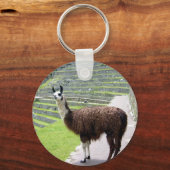 Lama sieht aus schlüsselanhänger (Vorderseite)