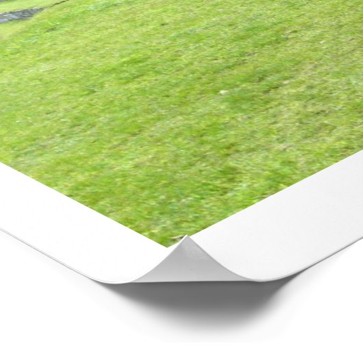 Lama sieht grenzenlos aus poster (Ecke)