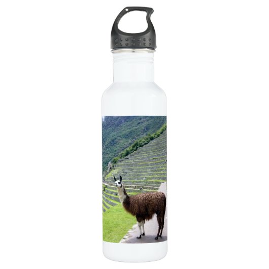 Lama Trinkflasche (Vorderseite)