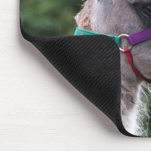 Lama-Überlegenheit Mousepad (Ecke)