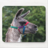 Lama-Überlegenheit Mousepad (Vorne)