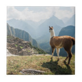 Lama-übersehenruinen | Machu Picchu, Peru Fliese (Vorderseite)