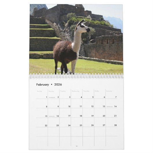Lama und Alpaca jedes Jahr Kalender (Feb 2026)