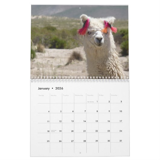 Lama und Alpaca jedes Jahr Kalender (Jan 2026)