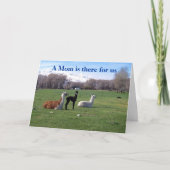 Lama und jung karte (Vorderseite)