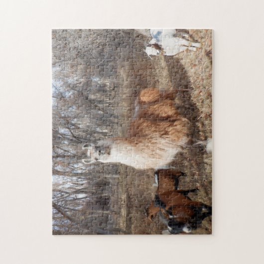 Lama und Ziegen Puzzle (Vertikal)