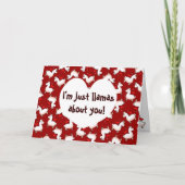 Lama-Verrücktheit Feiertagskarte (Vorderseite)