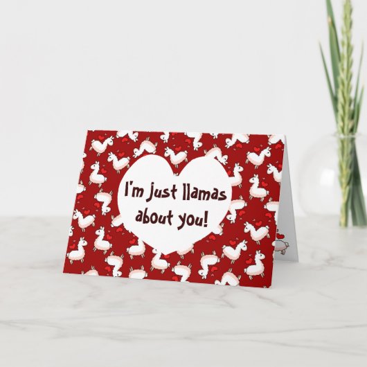 Lama-Verrücktheit Feiertagskarte (Vorderseite)