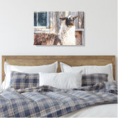 Lama vor einer Scheune Leinwanddruck (Insitu (Schlafzimmer))