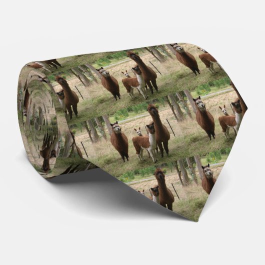 Lamafamilie Krawatte (Gerollt)