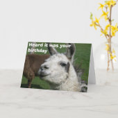 Lamageburtstag Karte (Gelbe Blume)